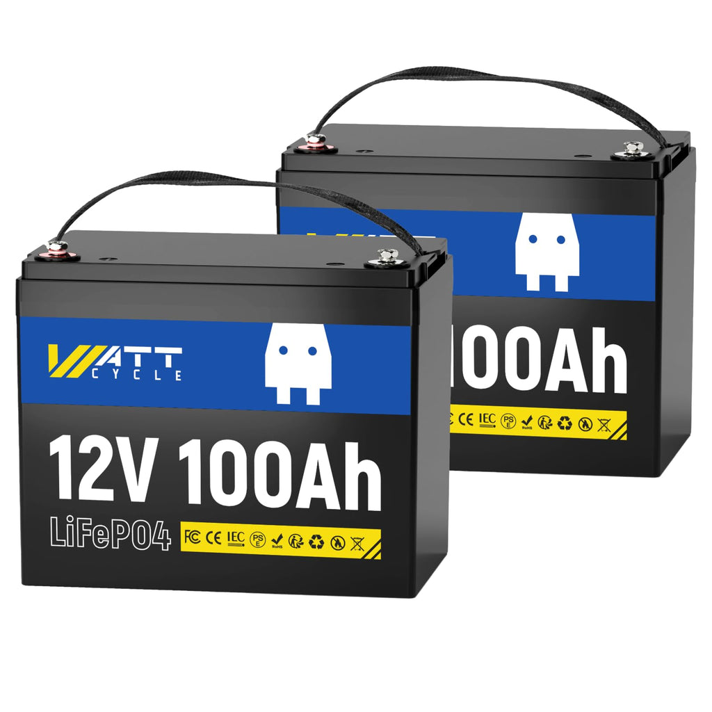 12V 100Ah LiFePO4 Battery 2 Pack G762321