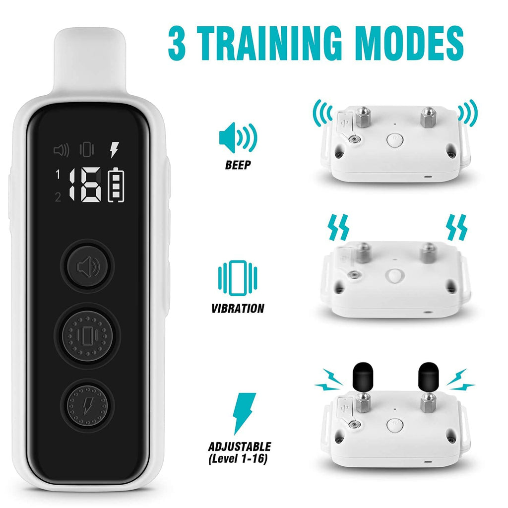 Waterproof Rechargeable Electric Dog Training Collar with Remote F16560