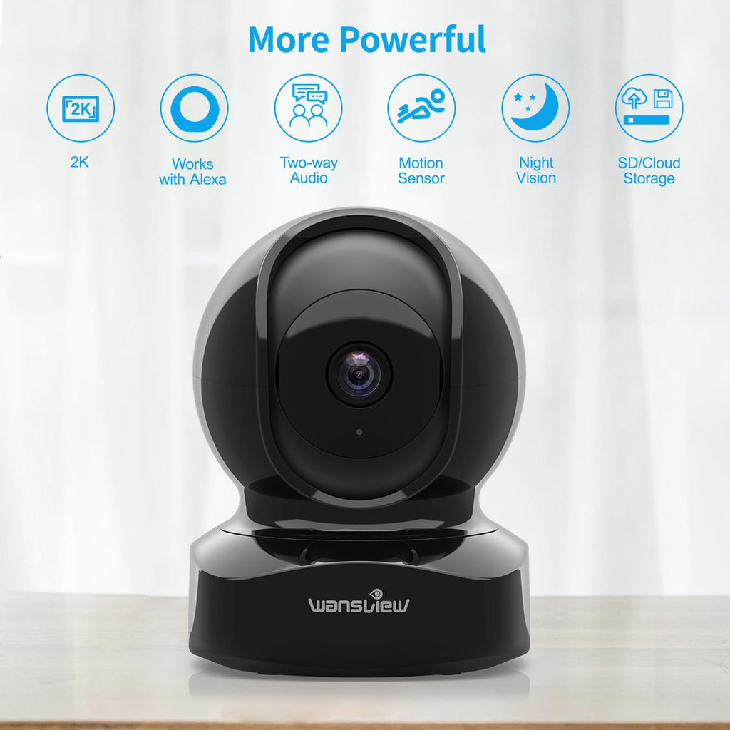 2K Indoor Pet Cameras D411