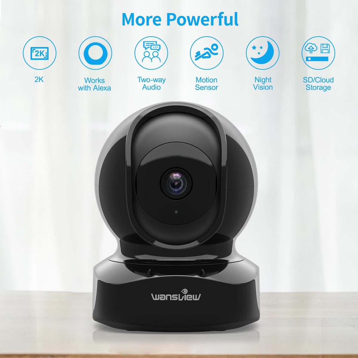 2K Indoor Pet Cameras D411