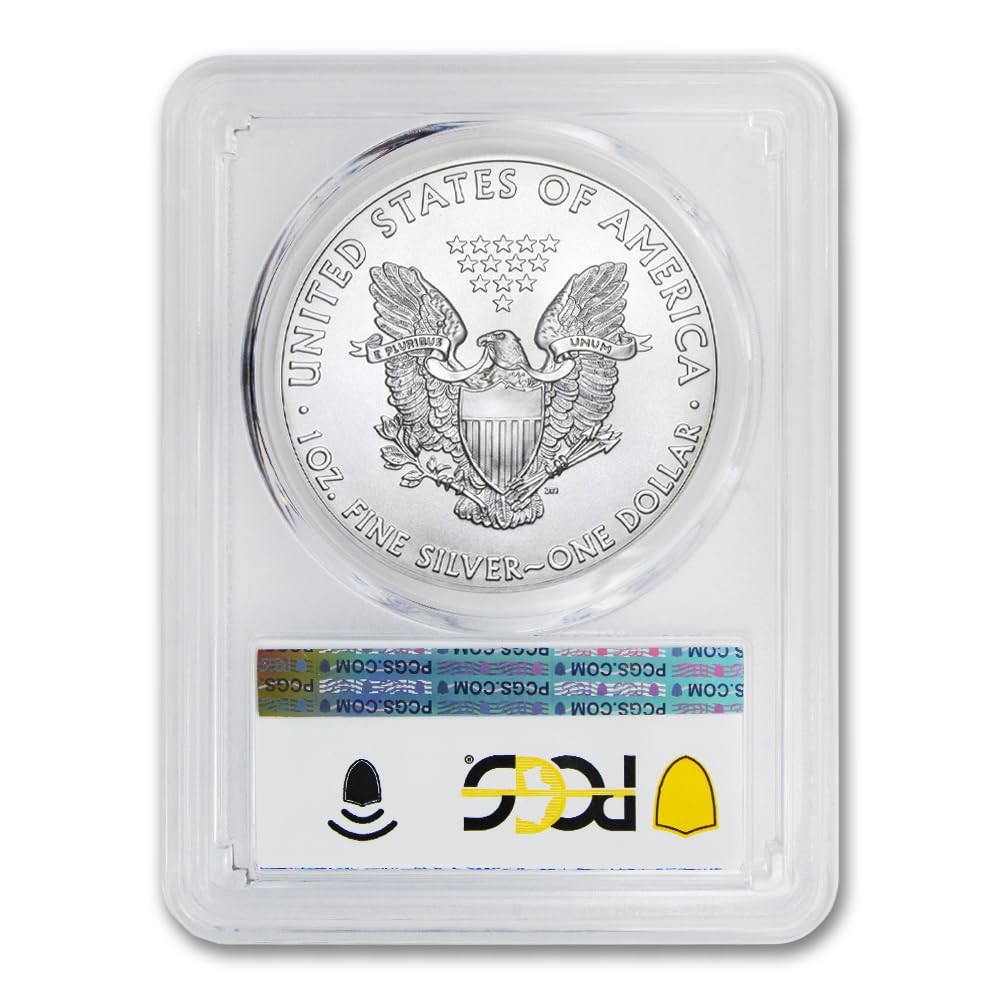 1 oz American Silver Eagle Coin MS-70 I69596