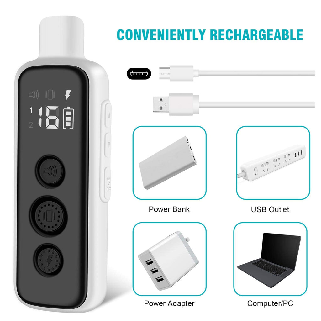 Waterproof Rechargeable Electric Dog Training Collar with Remote F16560