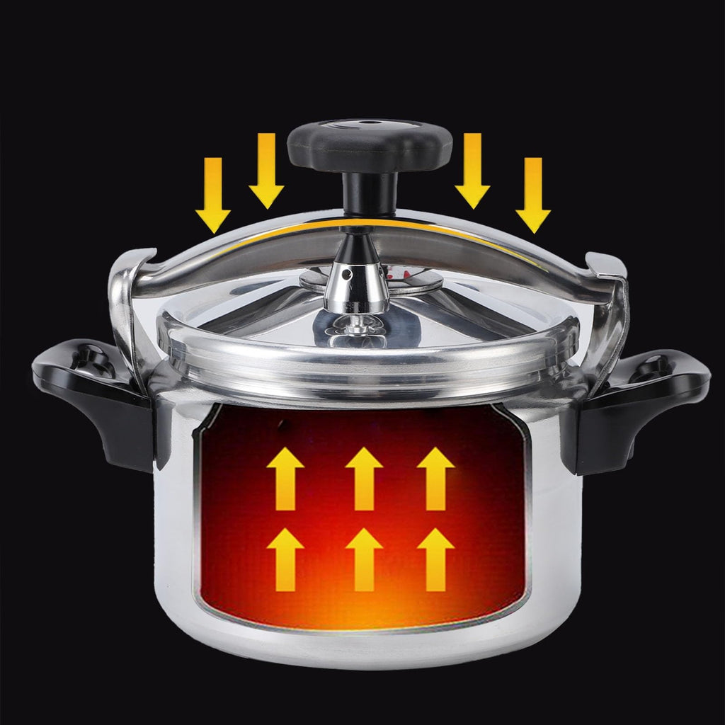 Stainless Steel 4L Pressure Cooker Z11361