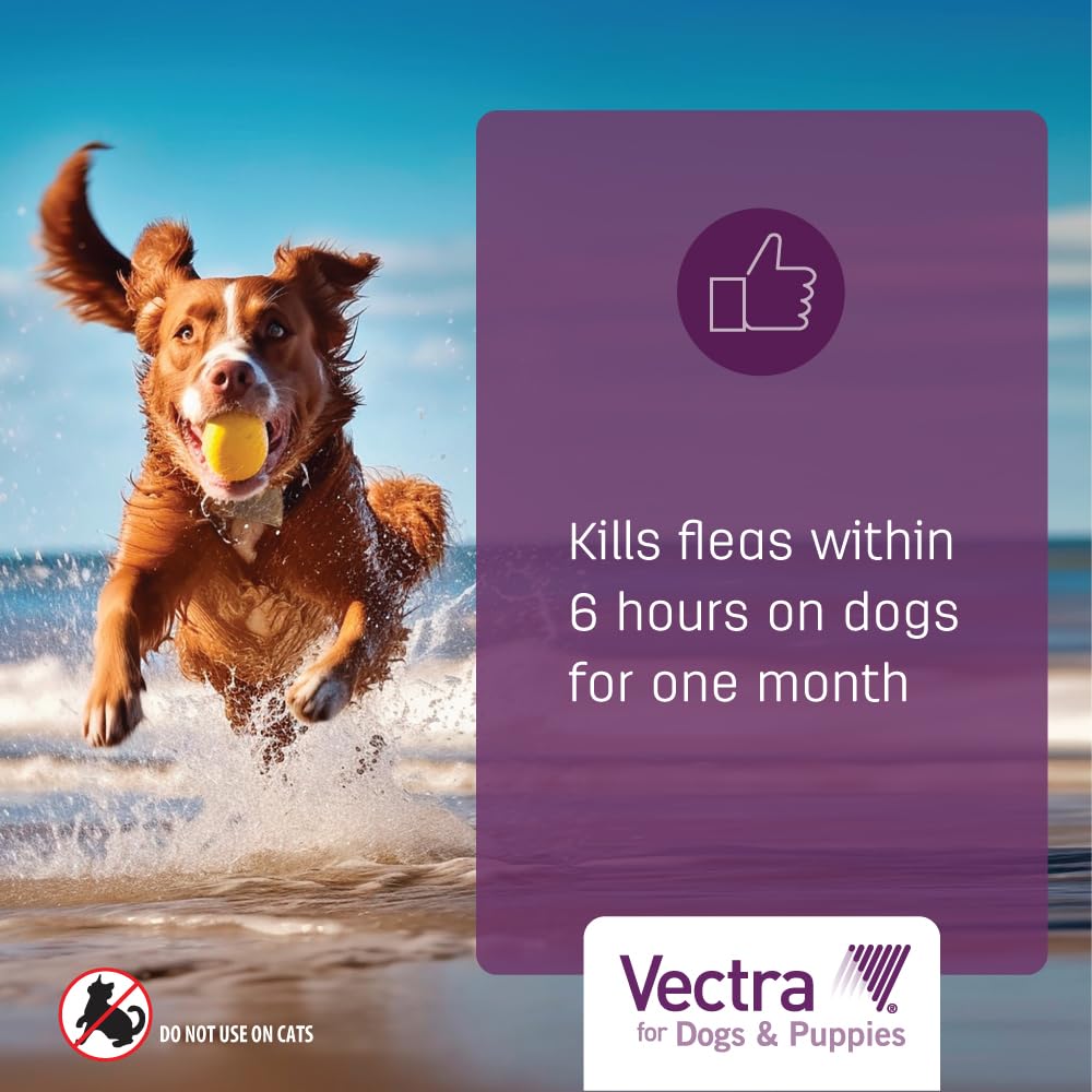 Flea Treatment & Prevention for Extra Small Dogs 3-Month Supply B5495