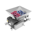 60W Stainless Steel 4L Fruit Crusher O2919