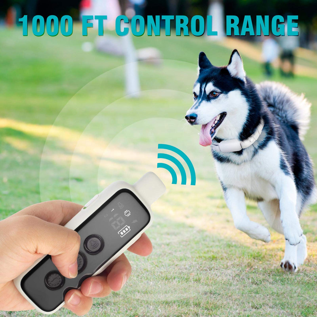 Waterproof Rechargeable Electric Dog Training Collar with Remote F16560