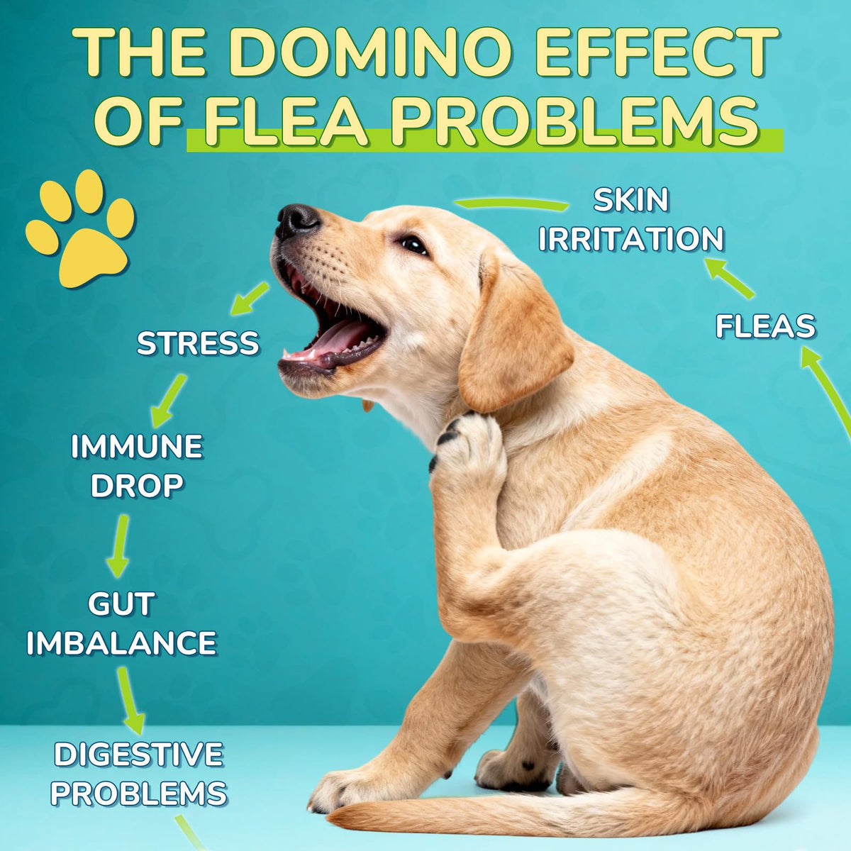 Flea and Tick Prevention Drops with Probiotics E554