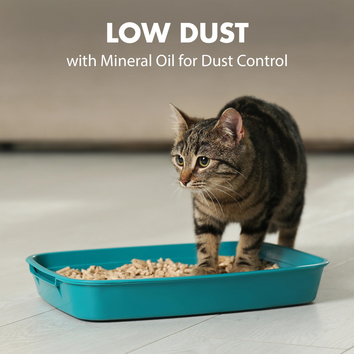 Clumping Cat Litter, 18 lbs E870