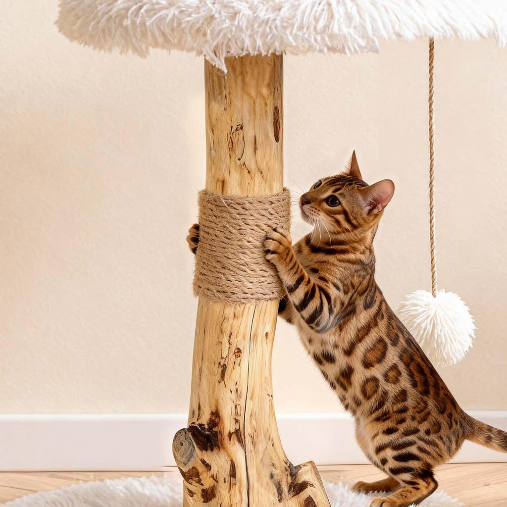 Modern Cat Tree Tower with Sisal Scratching Post T3794