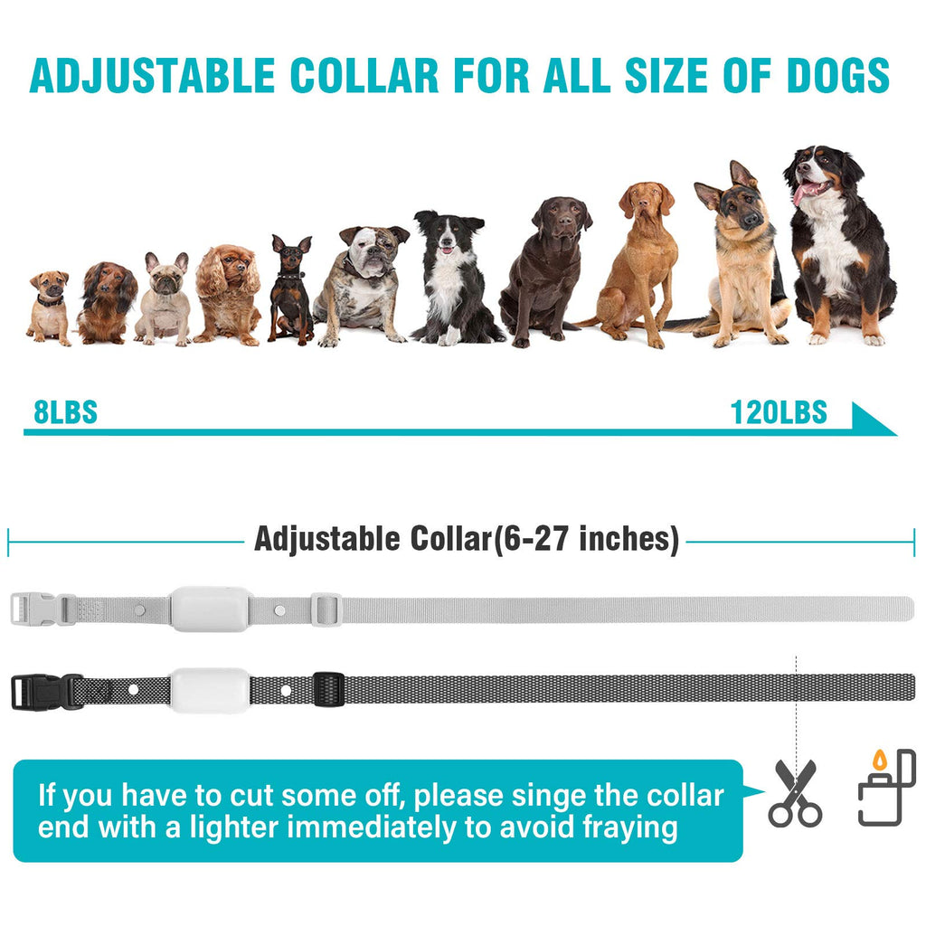 Waterproof Rechargeable Electric Dog Training Collar with Remote F16560