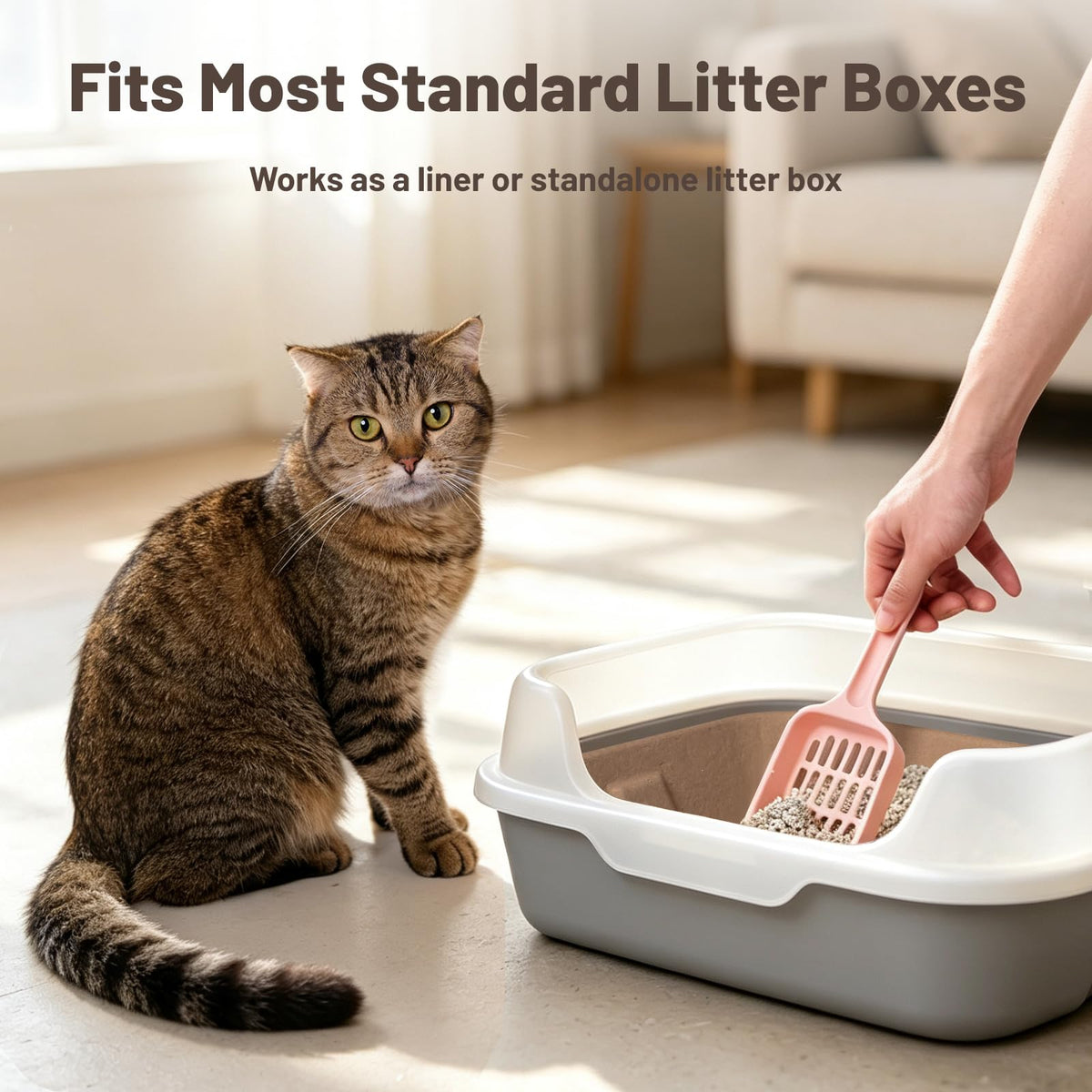 4 Pack Disposable Cardboard Cat Litter Boxes R329