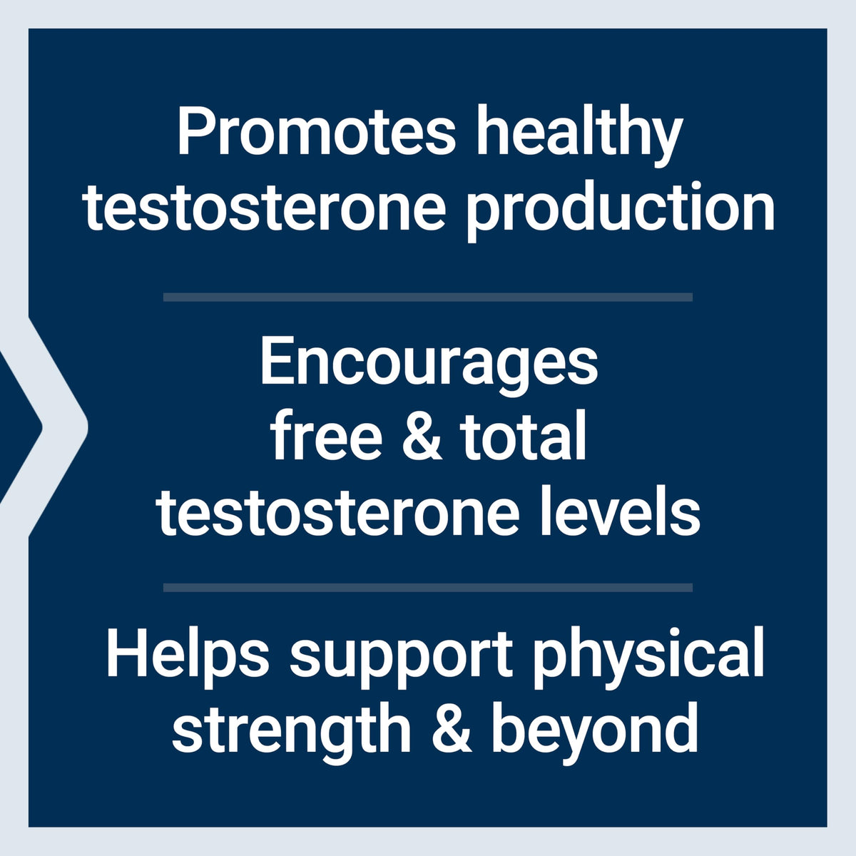 30 Capsules Male Health Support N5902