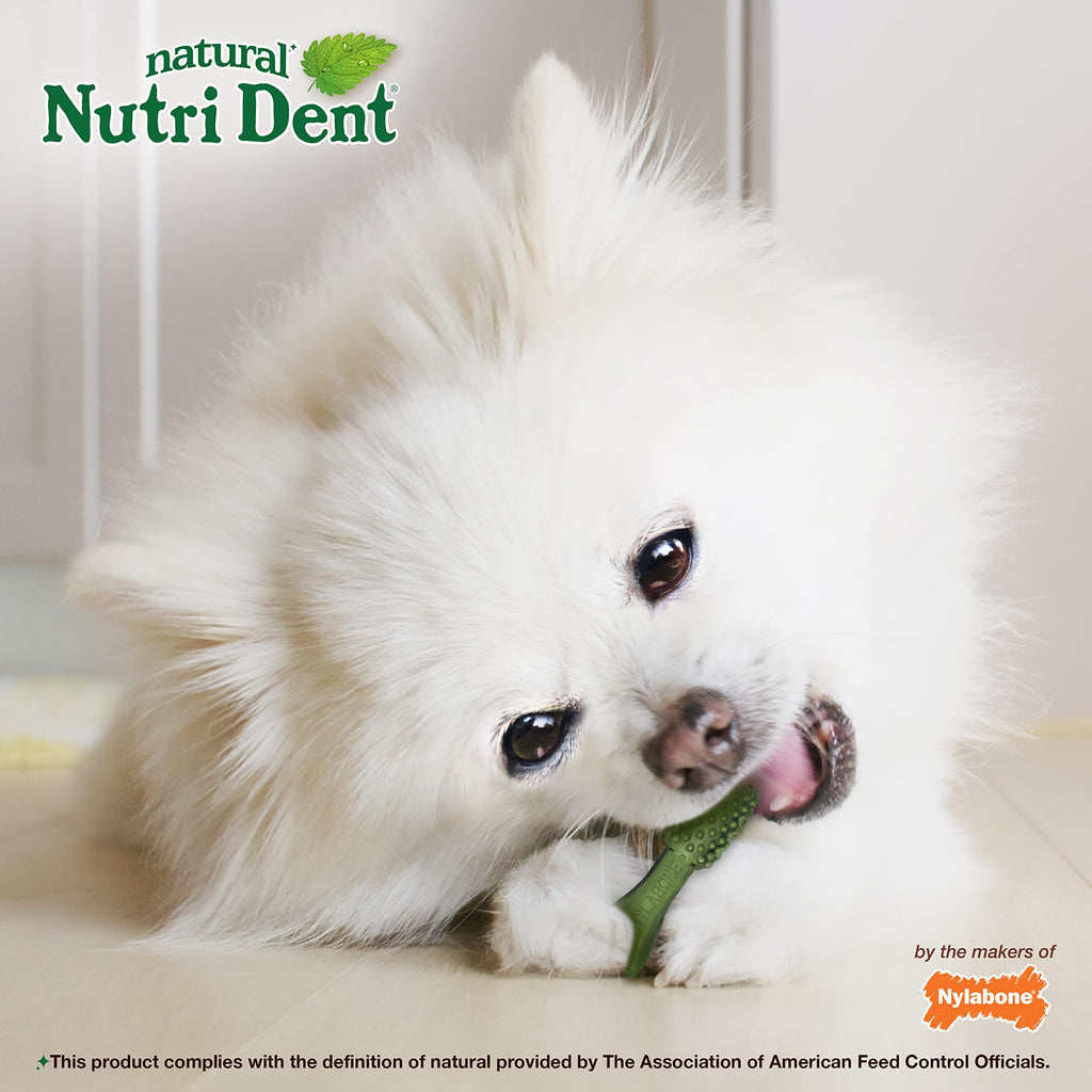 Natural Dog Dental Chews Mini 32 Count G7643