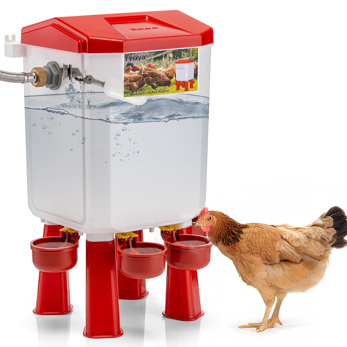 Automatic Chicken Waterer with Four Water Cups U2565