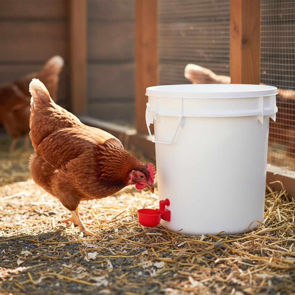 Automatic Chicken Waterer Cups 24-Pack Poultry Drinker with Hole Saw O4866