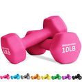 Dumbbell Set B70106
