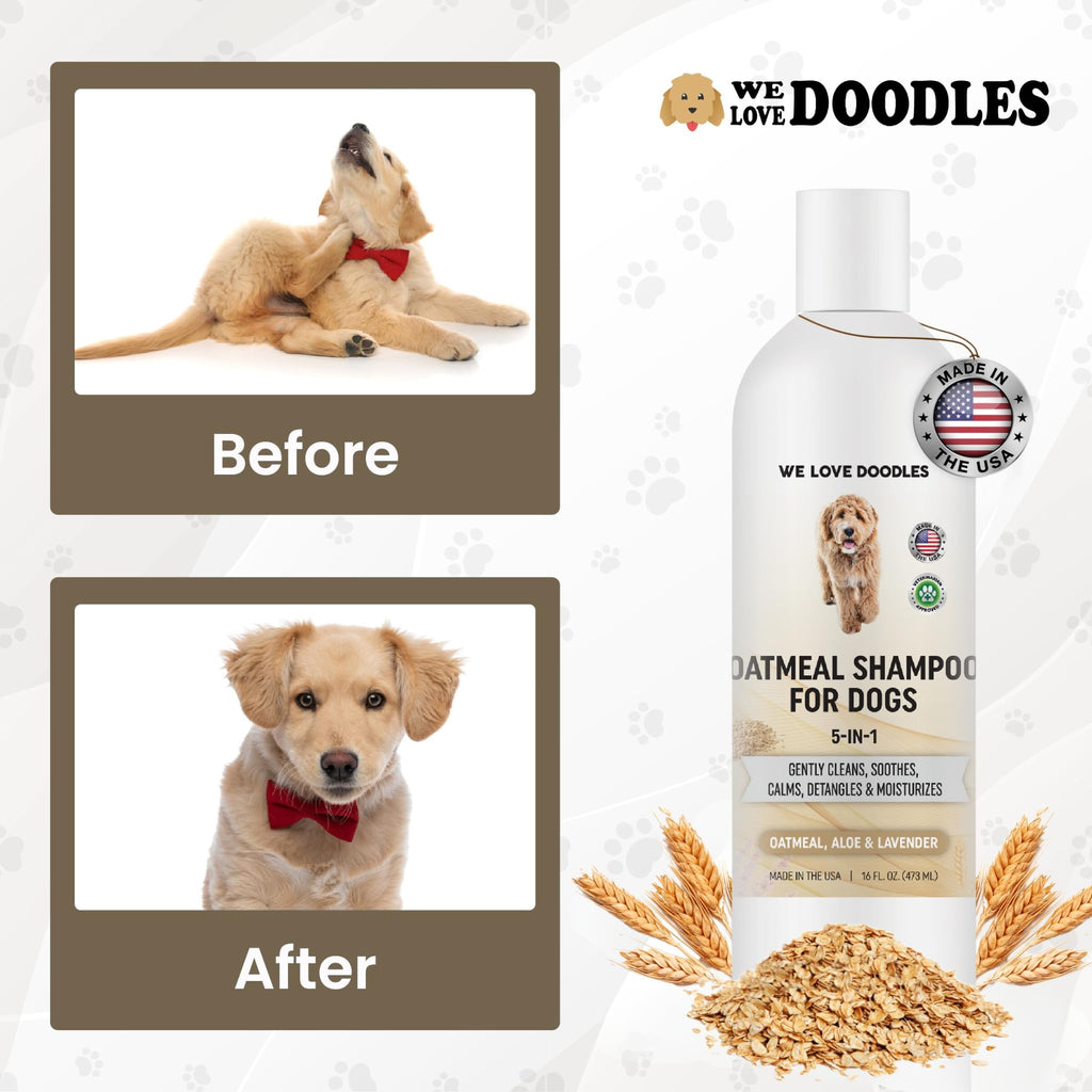 Oatmeal Shampoo & Conditioner for Dogs G908867