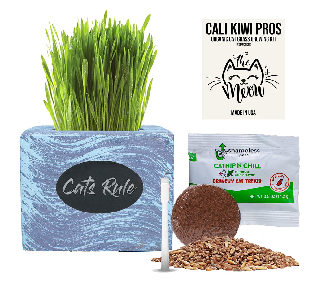Organic Wheatgrass Seed & Soil Cat Grass Kit N820005
