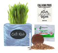 Organic Wheatgrass Seed & Soil Cat Grass Kit N820005