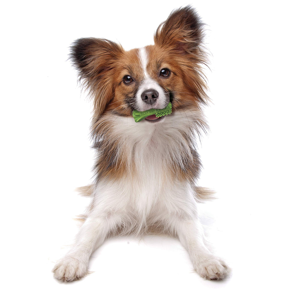 Natural Dog Dental Chews Mini 32 Count G7643