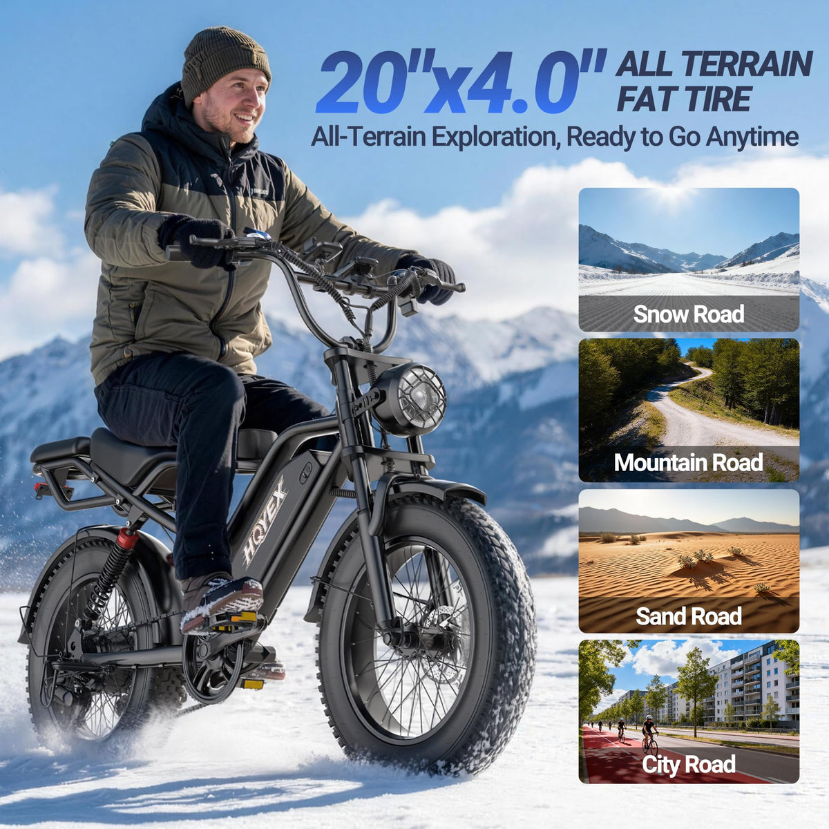 1500W 20" Fat Tire Electric Bike with 48V 20Ah Battery N260