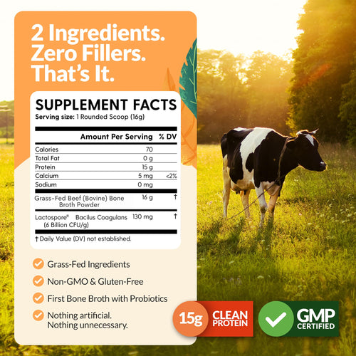 100% Grass-Fed Beef Bone Broth Powder with Probiotics Collagen 15g Protein F610420