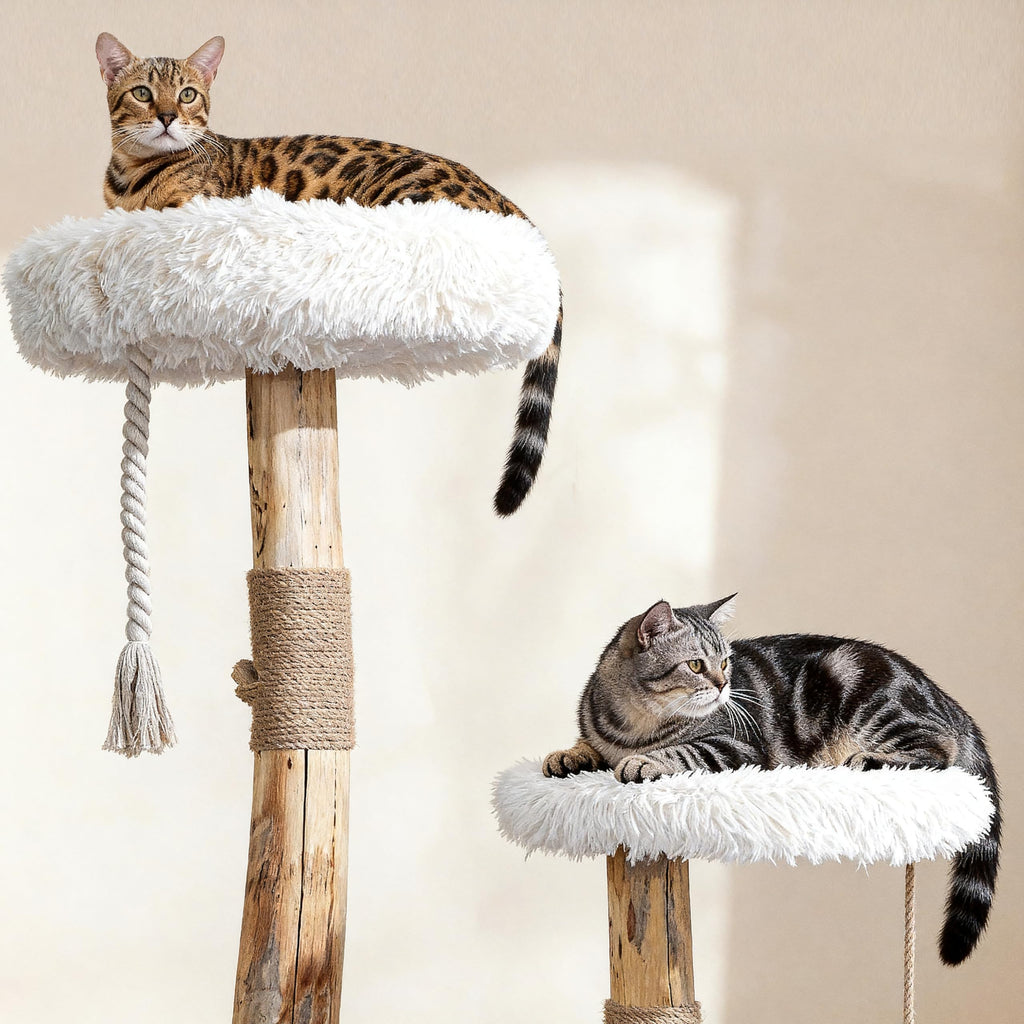 Modern Cat Tree Tower with Sisal Scratching Post T3794
