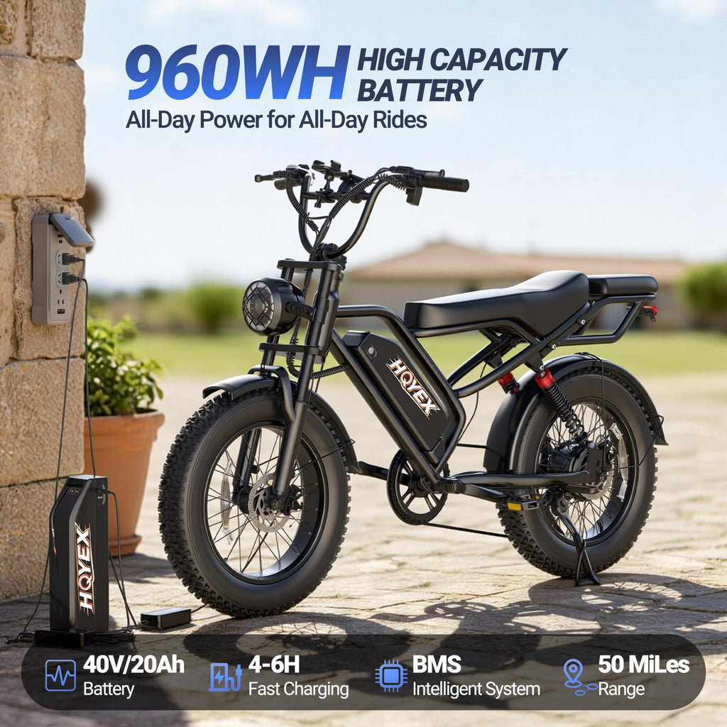 1500W 20" Fat Tire Electric Bike with 48V 20Ah Battery N260