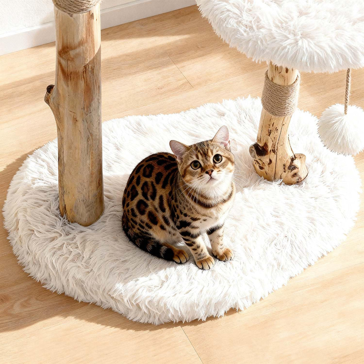 Modern Cat Tree Tower with Sisal Scratching Post T3794