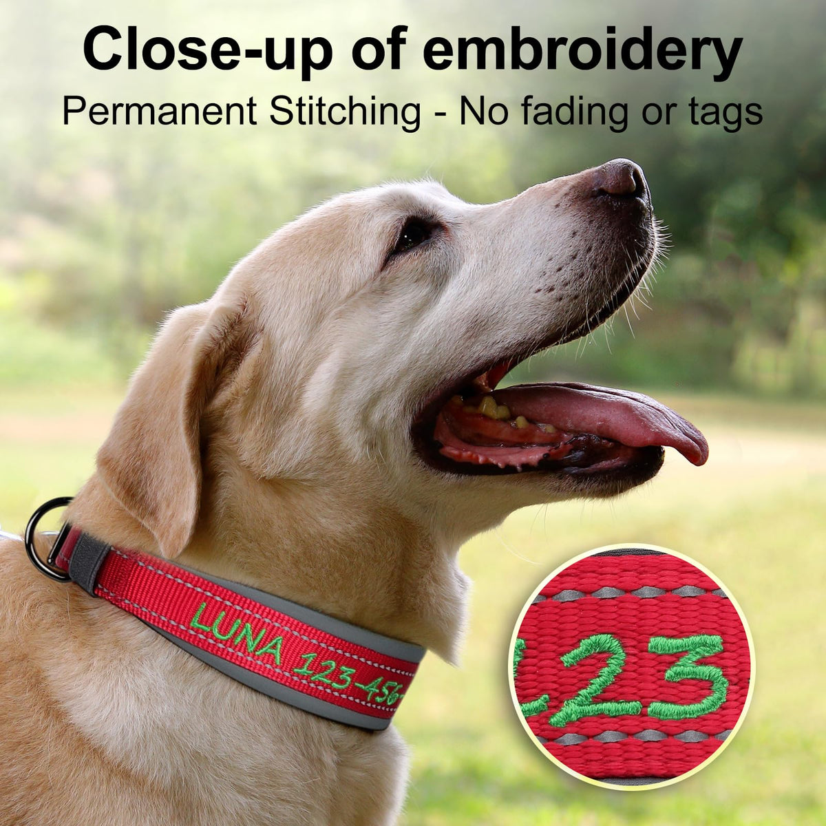 Personalized Dog Collar L64793