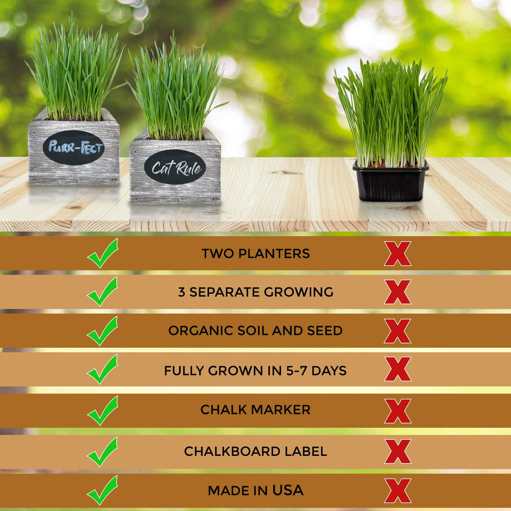 Organic Wheatgrass Seed & Soil Cat Grass Kit N820005