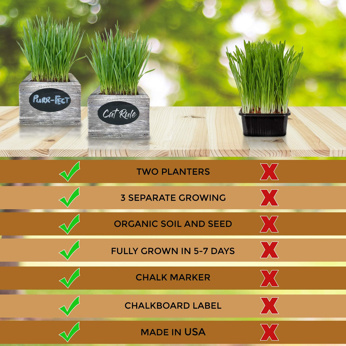 Organic Wheatgrass Seed & Soil Cat Grass Kit N820005