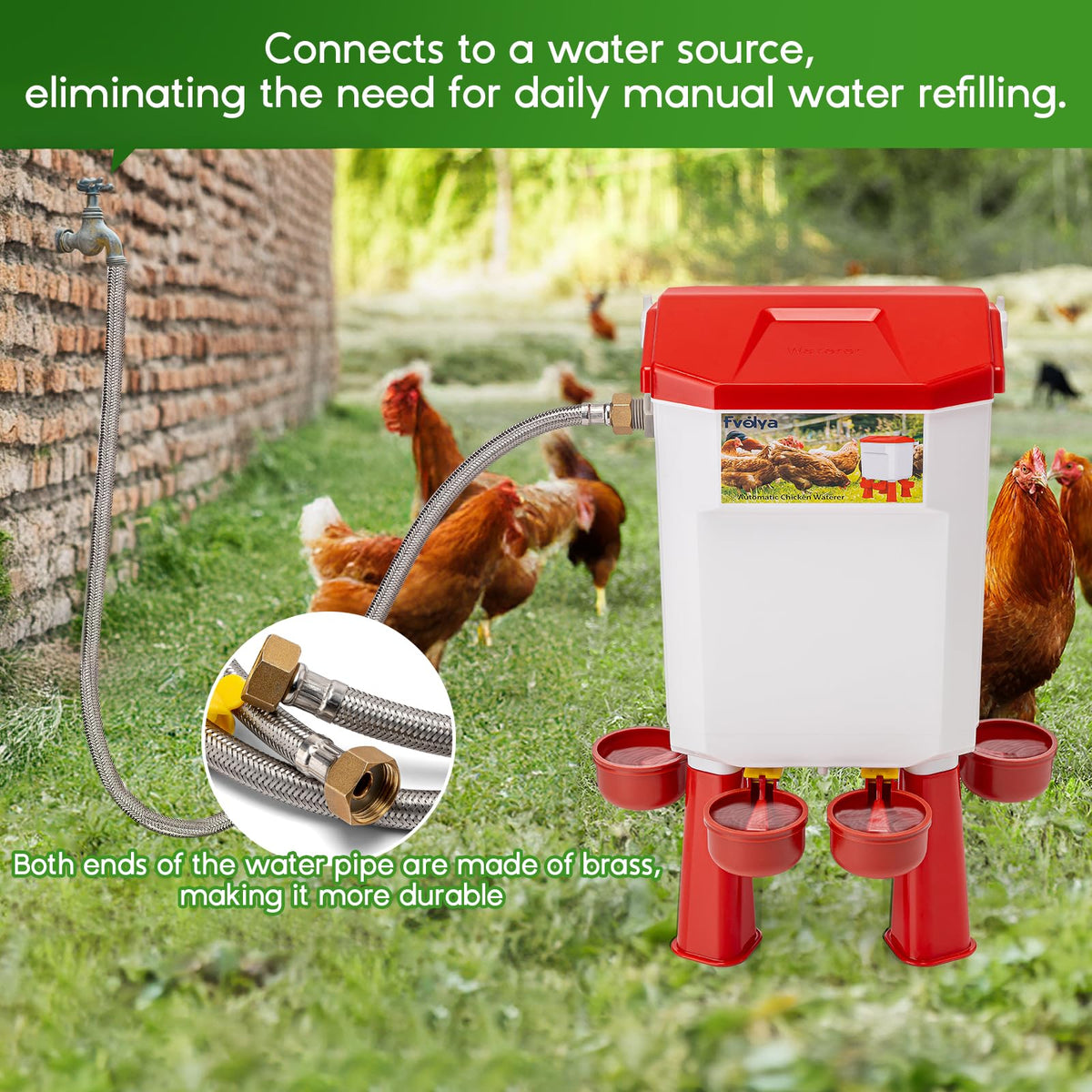 Automatic Chicken Waterer with Four Water Cups U2565