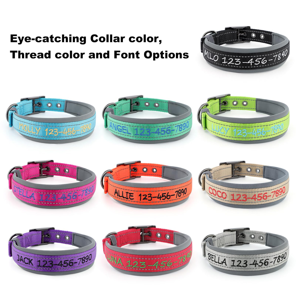 Personalized Dog Collar L64793