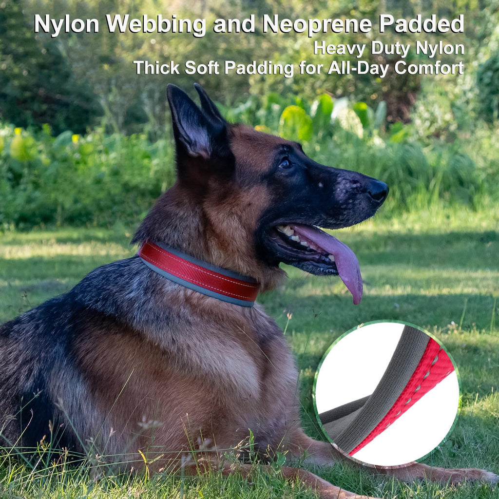Personalized Dog Collar L64793