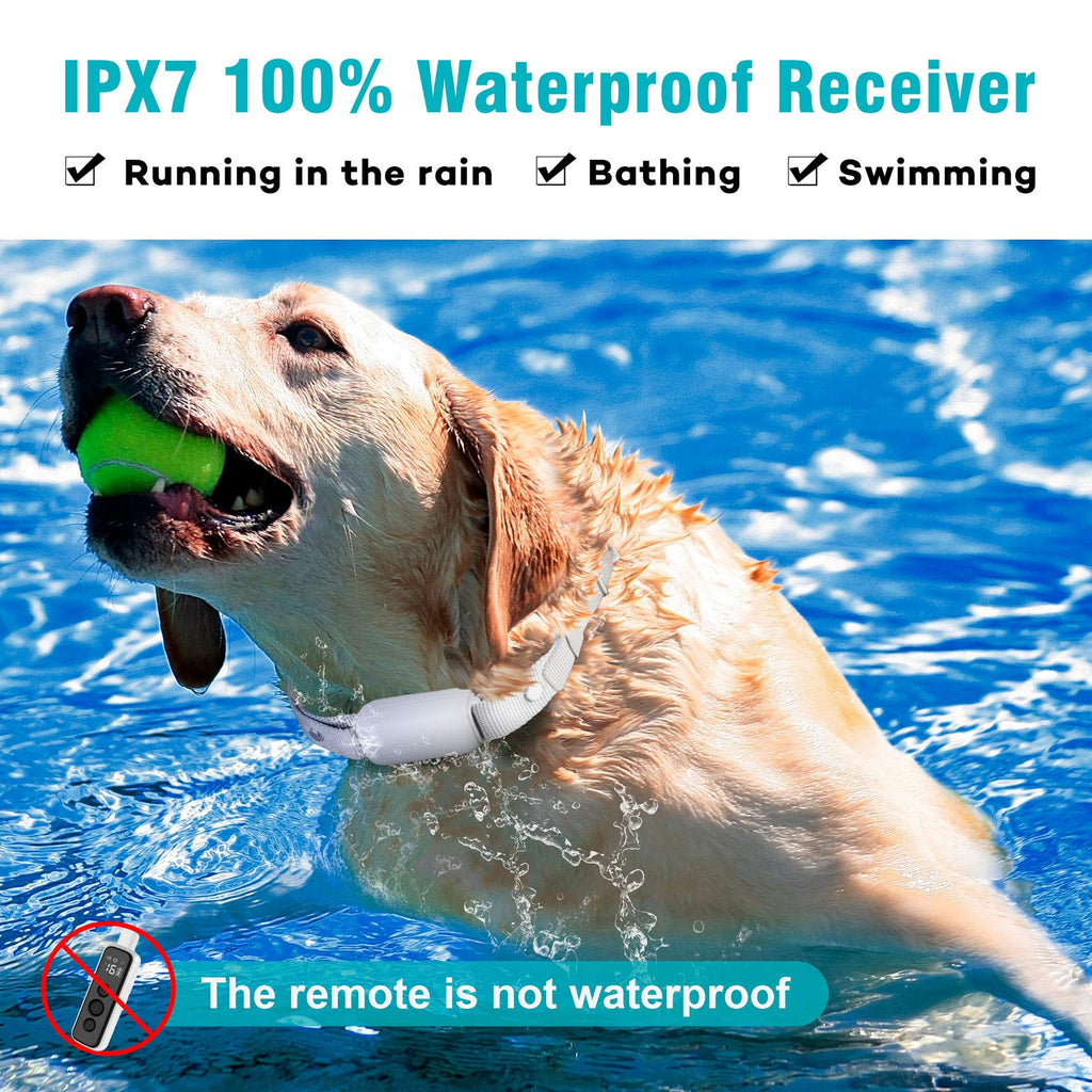 Waterproof Rechargeable Electric Dog Training Collar with Remote F16560