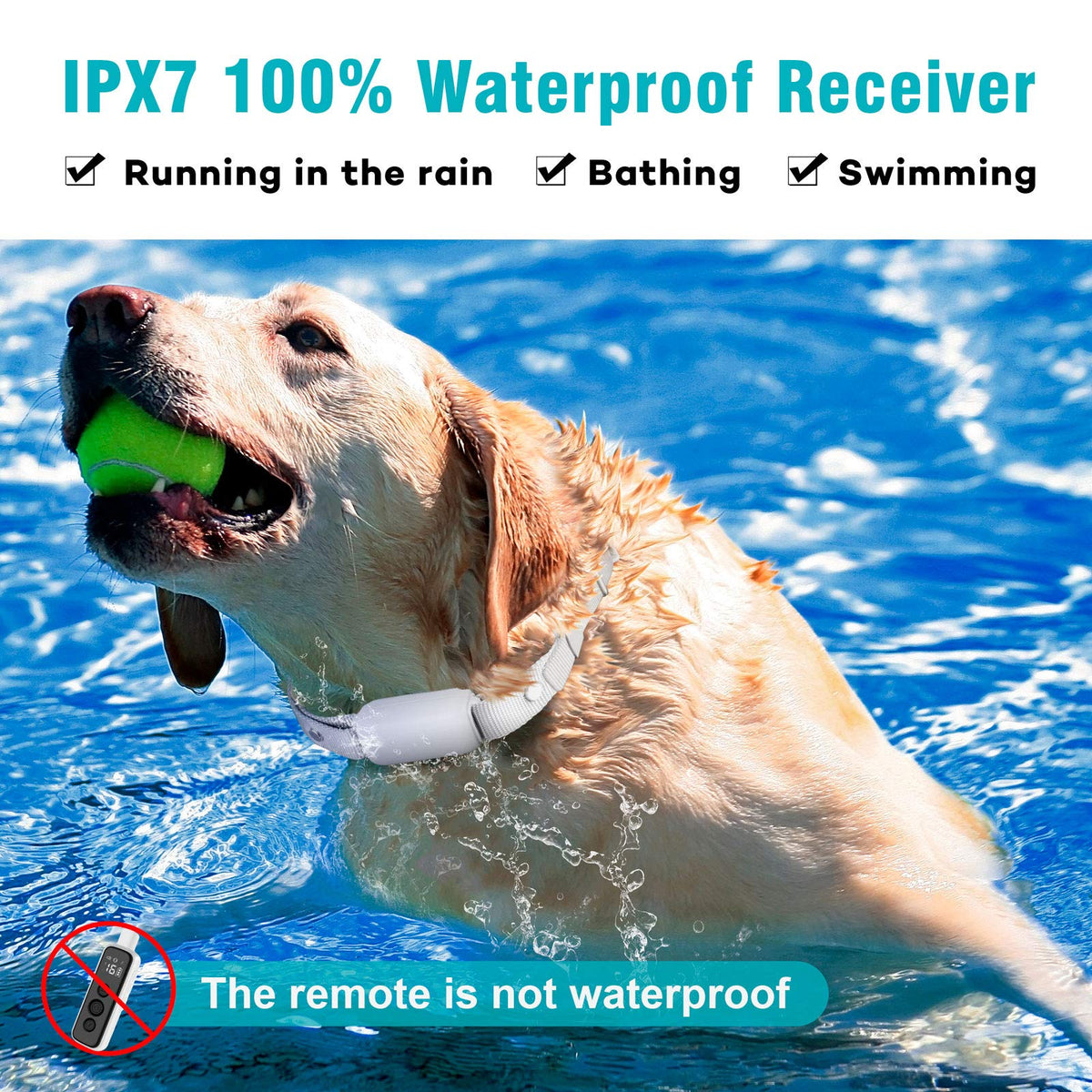 Waterproof Rechargeable Electric Dog Training Collar with Remote F16560