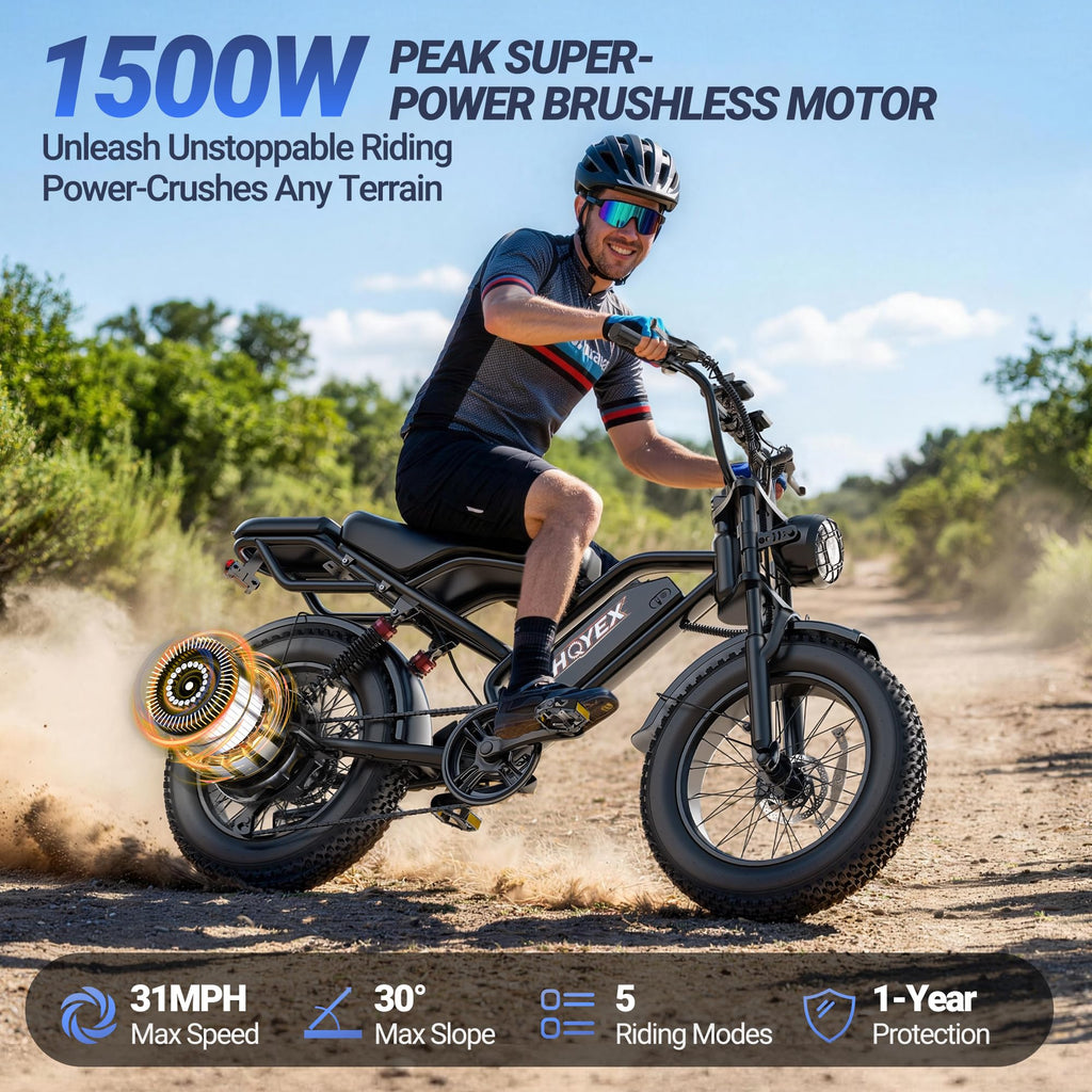 1500W 20" Fat Tire Electric Bike with 48V 20Ah Battery N260
