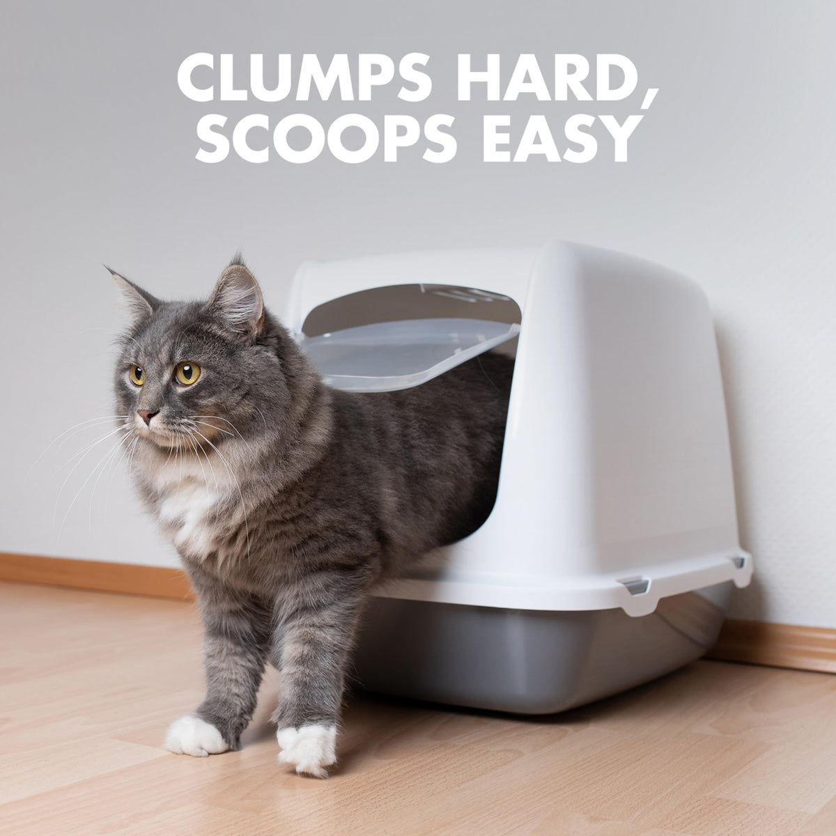 Clumping Cat Litter, 18 lbs E870
