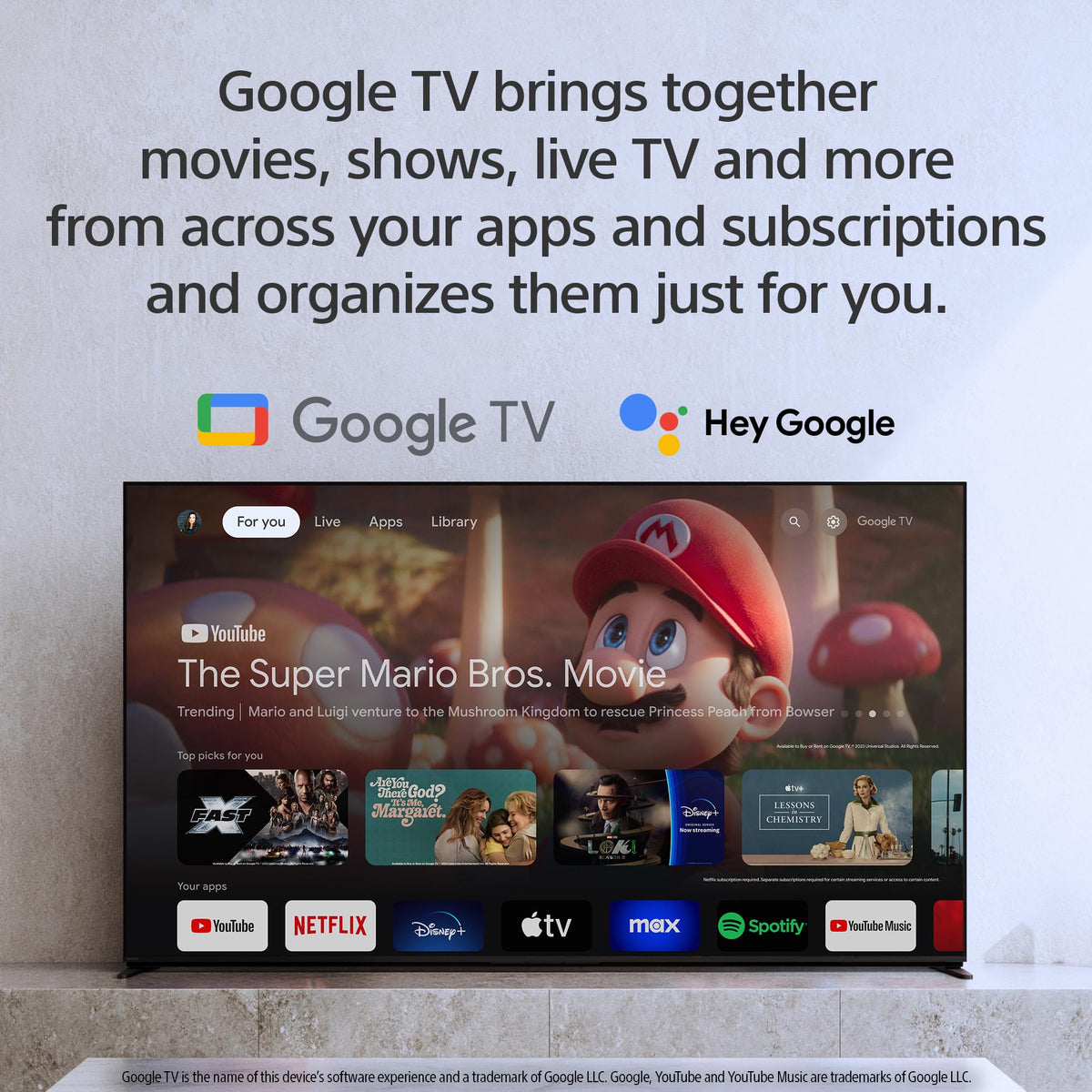 55 Inch OLED 4K HDR Smart Google TV E974900