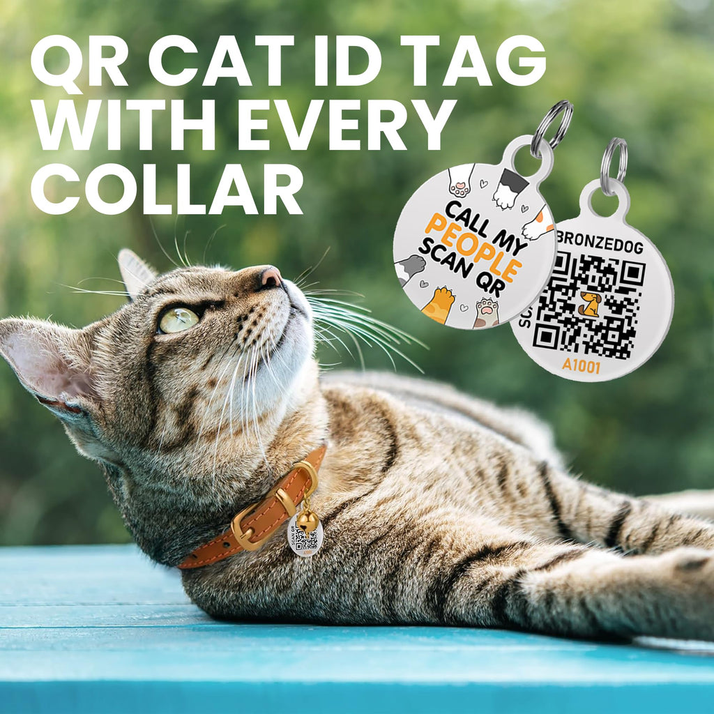 Black Gold Leather Cat Collar with Removable Bells W14098