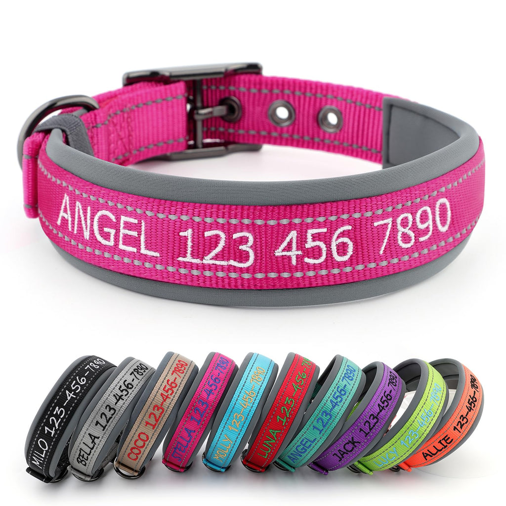 Personalized Dog Collar L64793