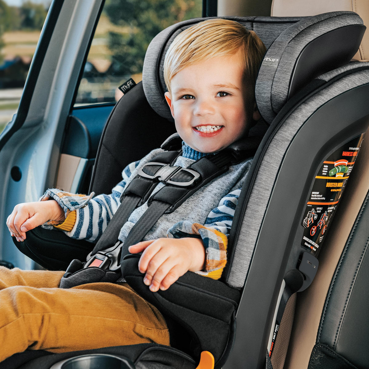 5-Point Harness High Back Booster Car Seat W98056