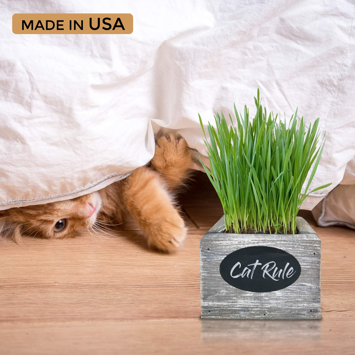 Organic Wheatgrass Seed & Soil Cat Grass Kit N820005